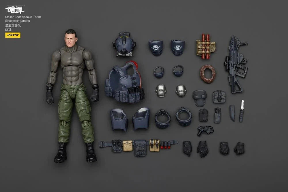 JoyToy Dark Source Stellar Scar Assault Team 1/18 Scale Action Figure