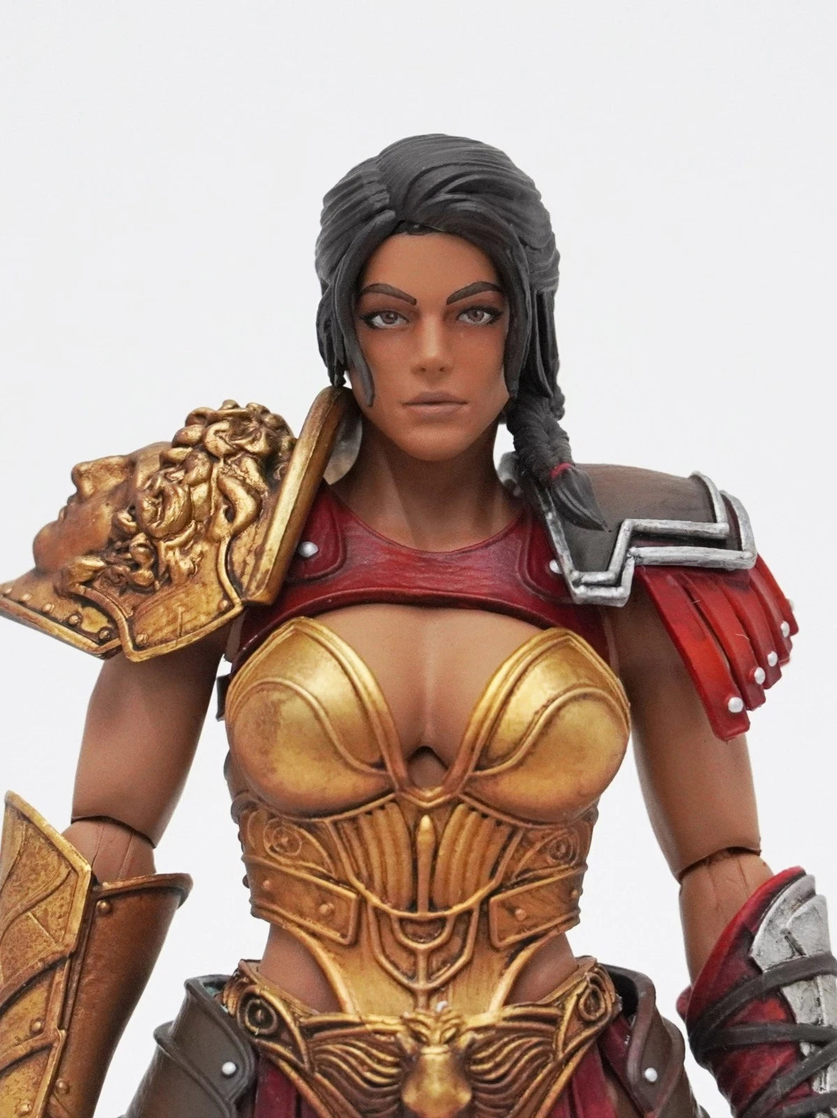 Xesray Combatants Fight For Glory Berenice